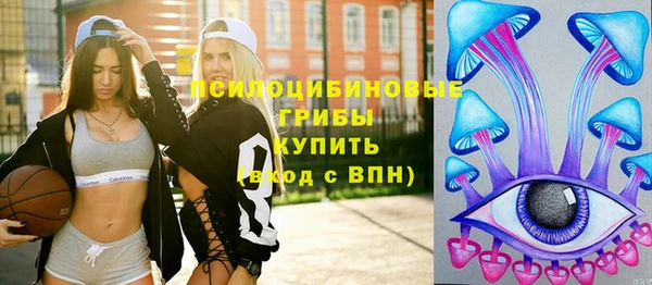 сатива Абаза
