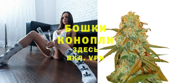 сатива Абаза