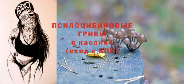амф Алексин