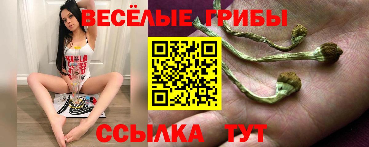 Ипатово  Псилоцибиновые грибы Magic Shrooms  Вход с VPN 